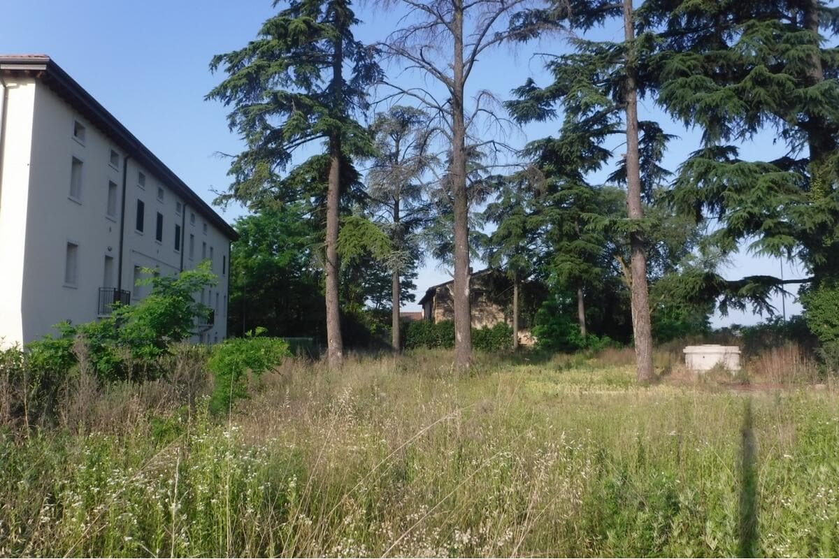 Terreno Commerciali in vendita
