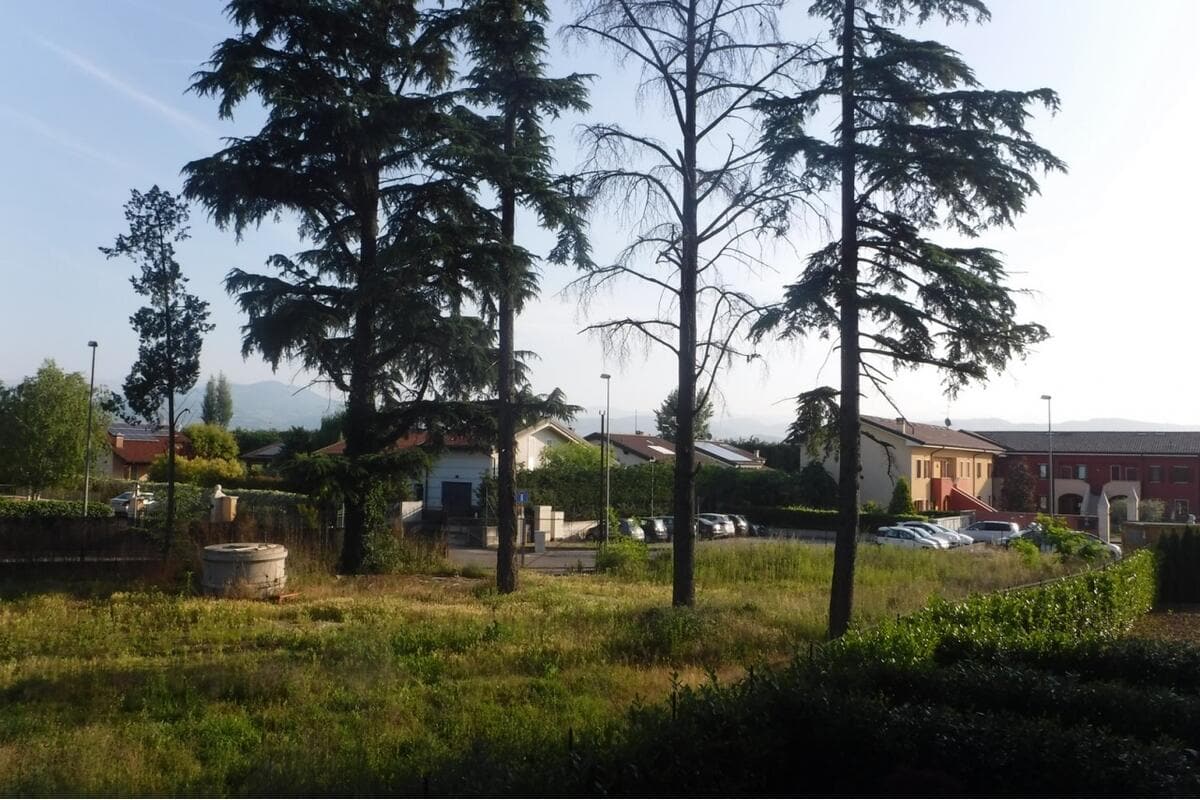 Terreno Commerciali in vendita