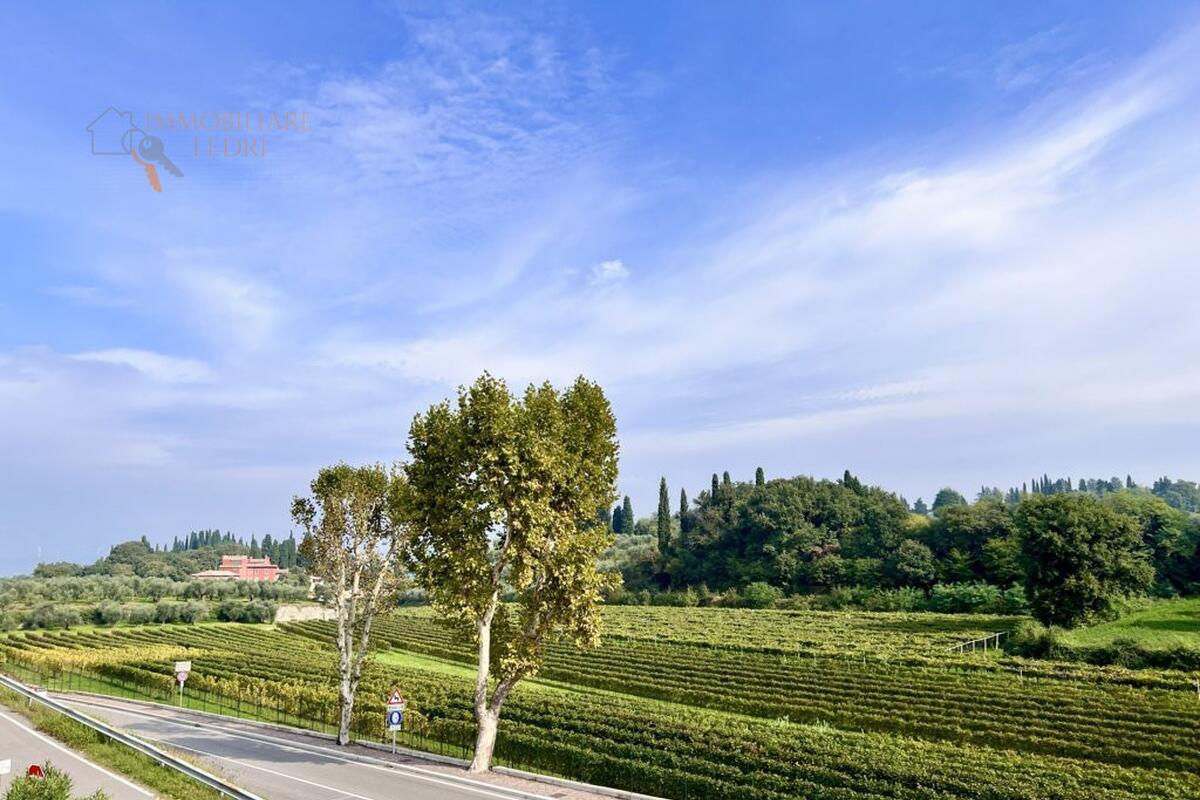 Appartamento Residenziali in vendita