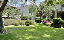 Appartamento Residenziali in vendita