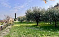 Villa Residenziali in vendita