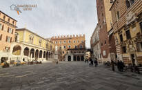 Appartamento Residenziali in affitto