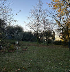 Terreno Commerciali in vendita